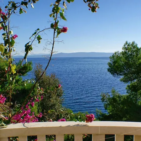 Apartamento Seaside With A Swimming Pool Puntinak, Brac - 769 Selca (Brac)