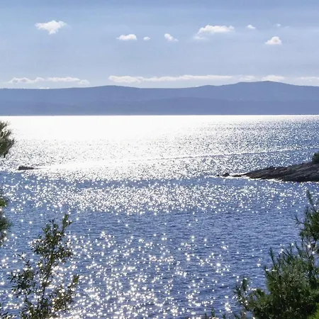 Seaside With A Swimming Pool Puntinak, Brac - 769