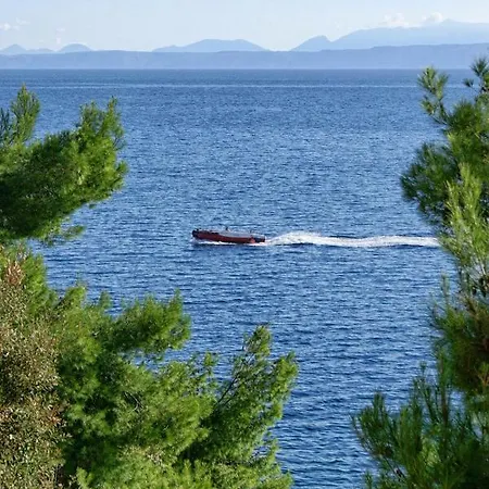 Apartamento Seaside With A Swimming Pool Puntinak, Brac - 769 *
