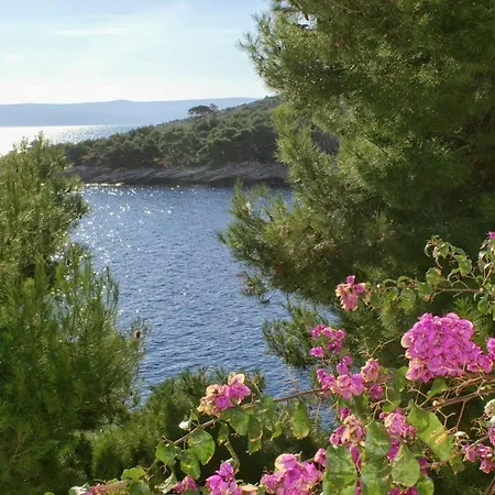 Seaside With A Swimming Pool Puntinak, Brac - 769 Selca (Brac)