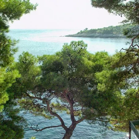 Seaside With A Swimming Pool Puntinak, Brac - 769 Apartamento Selca (Brac)